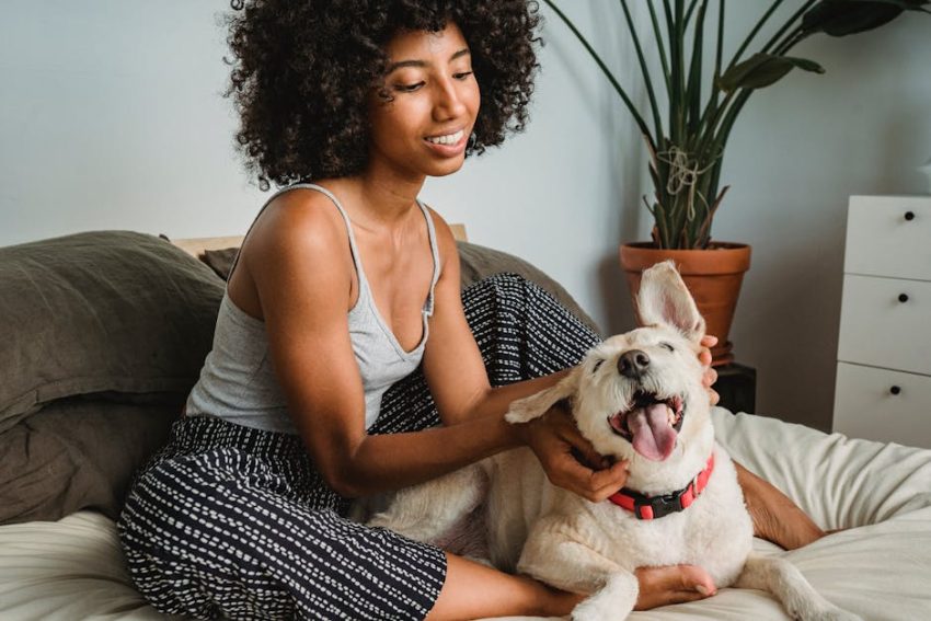 How to Boost Your Dog’s Immune System: What Actually Works
