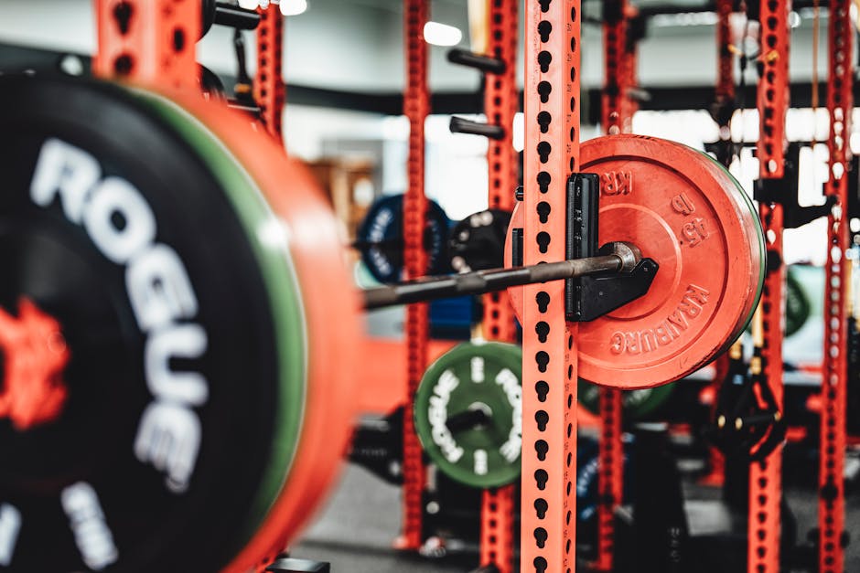Detailed view of a weightlifting setup in a modern gym featuring colorful weight plates on a barbell.