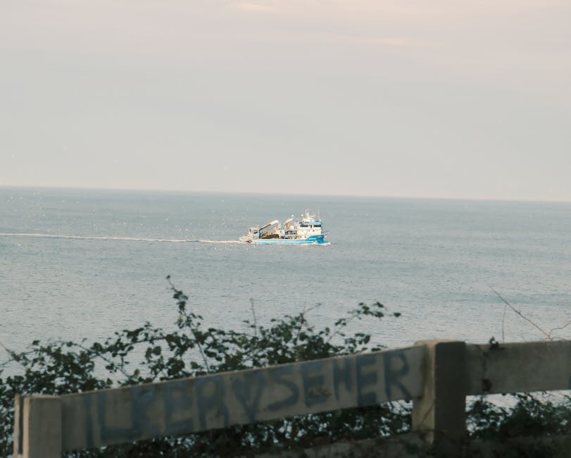 A fishing boat sails on the Black Sea, visible from Zonguldak, Türkiye. Serene ocean view.